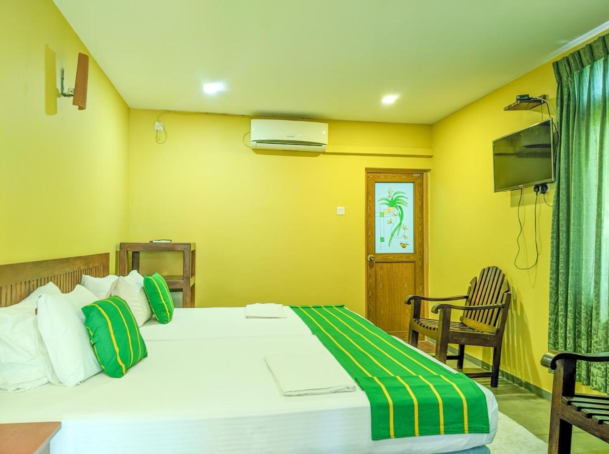 Yala Golden Wild Bed & Breakfast Tissamaharama Exterior photo