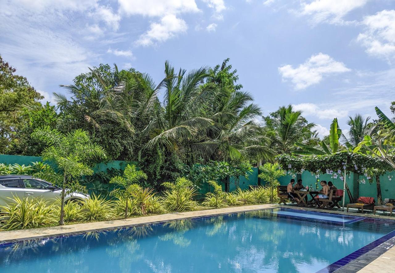 Yala Golden Wild Bed & Breakfast Tissamaharama Exterior photo